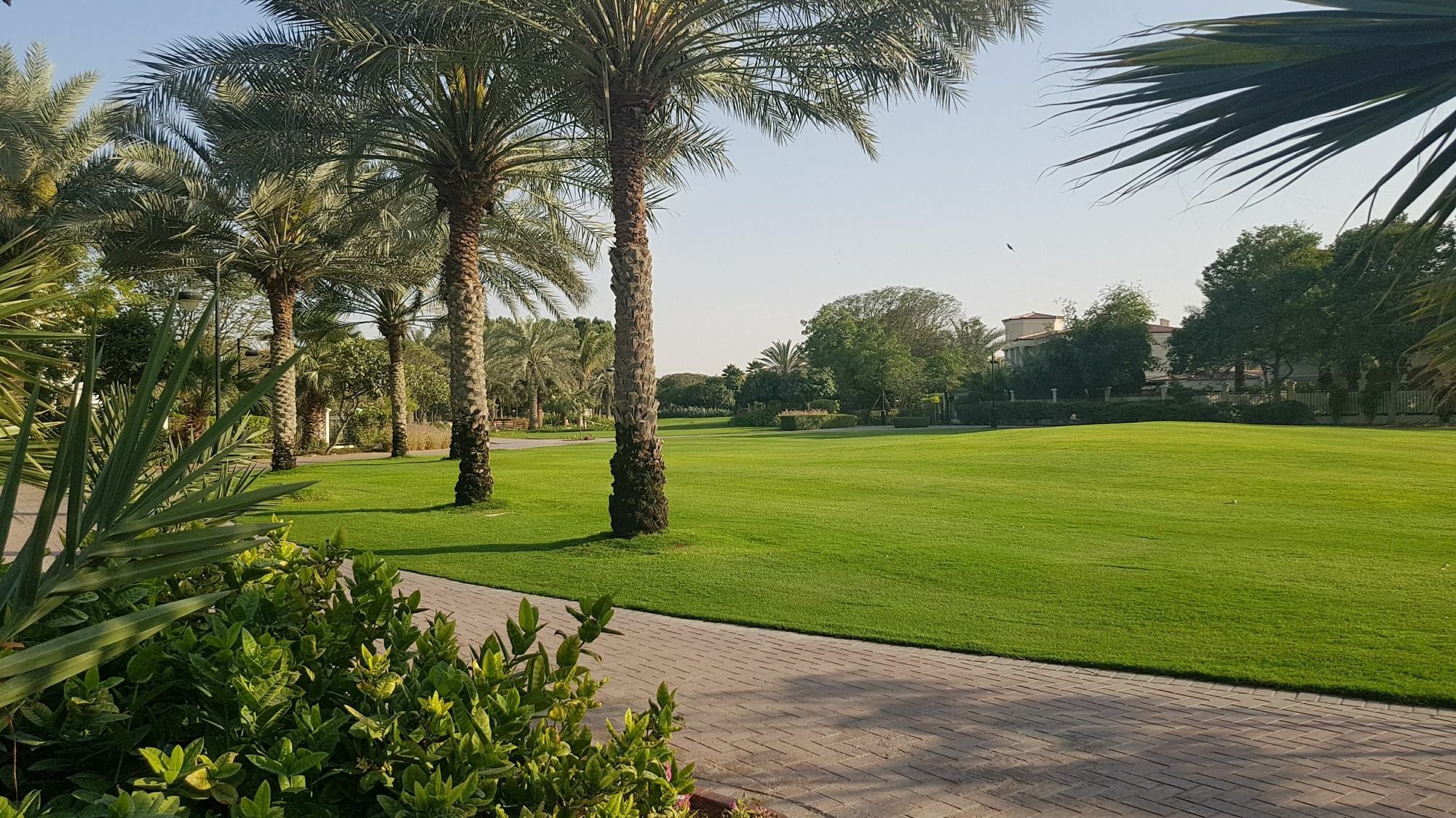 Luxury 750M2 Resort - The Blue Villa Dubai Bagian luar foto